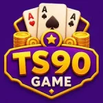 TS90 Game