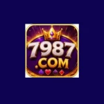 7987 Game