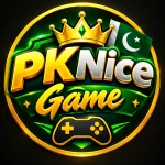 Pknice Game